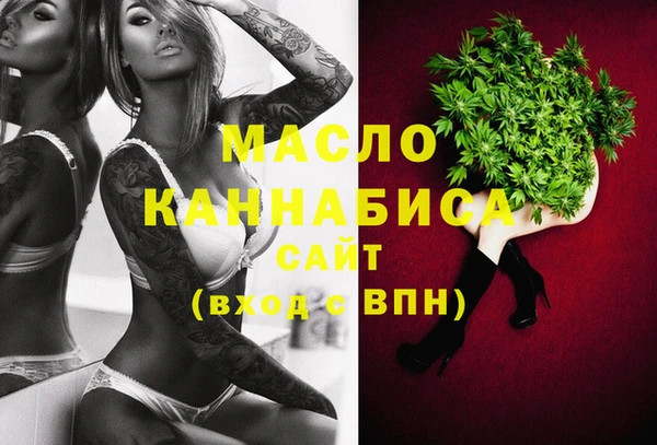 гидра Верхний Тагил