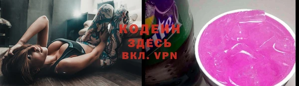 гидра Верхний Тагил