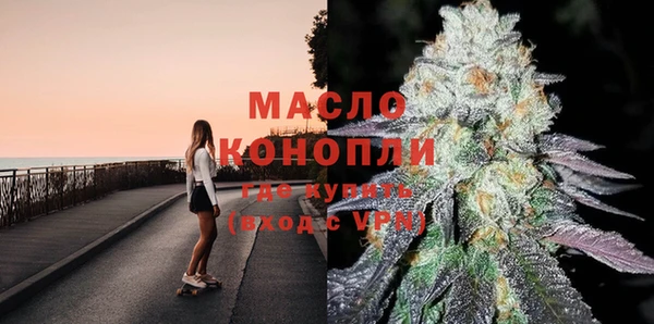 гидра Верхний Тагил