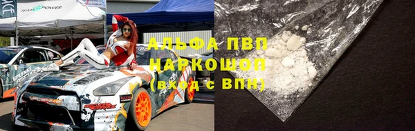гидра Верхний Тагил